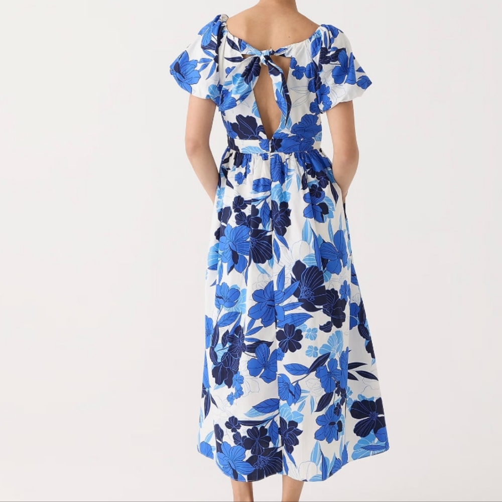 Jcrew Cecily dress in painted floral print Blue NWT